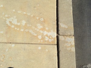 chemical stains on concrete small